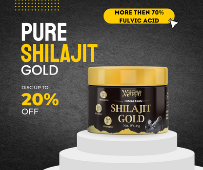 Vedic Veda Shilajit Gold 45 Gram
