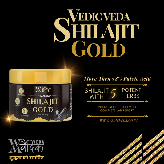 Vedic Veda Shilajit Gold 20 Gram